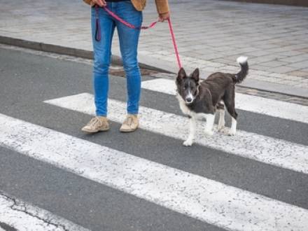 Dallas, TX personal injury lawyer